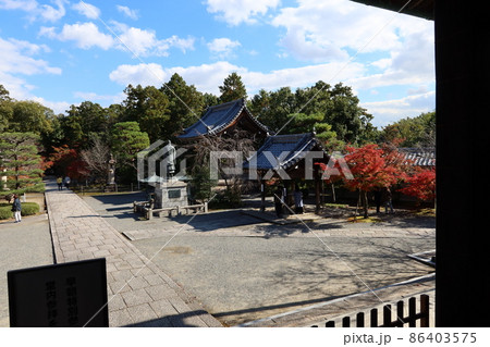 京都府長岡京市にある紅葉で有名な光明寺境内の手水舎と鐘楼と立教開宗の像と紅葉の風景 86403575