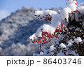 南天と雪景色 86403746