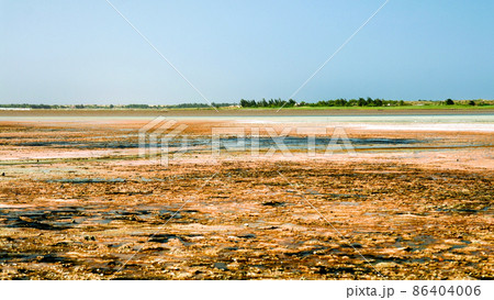 Panorama of Lake Retba near Dakar Senegal 86404006