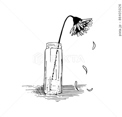 Wilted flower sketch. Plant stands in a glass vase, petals crumble. Hand drawn vector illustration. Isolated on white. 86405026