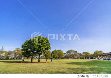 春の武蔵国分寺公園の円形広場（2021年3月） 86406950