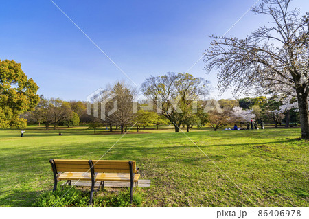 春の武蔵国分寺公園の風景・こもれび広場と木製ベンチ（2021年3月） 86406978