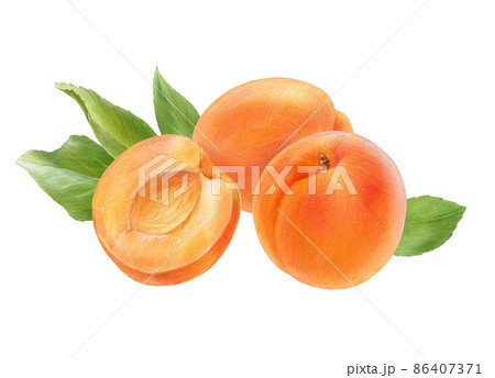 Ripe apricots with leaves, watercolor illustration on white background Ripe apricots with leaves, watercolor illustration on white background 86407371