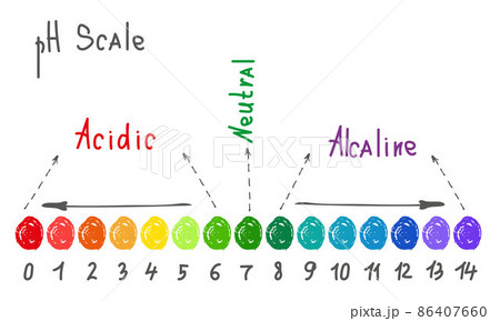 Horizontal pH scale for measuring acid alkaline balance. Chemical value test. Doodle infographics with indicator chart. Hand drawn vector illustration Horizontal pH scale for measuring acid alkaline balance. Chemical value test. Doodle infographics with indicator chart. Hand drawn vector illustration 86407660