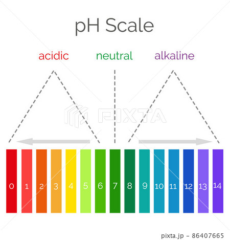 Horizontal pH scale for measuring acid alkaline balance. Chemical value test. Infographics with indicator chart. Vector illustration  86407665