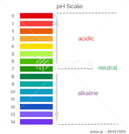 Vertical pH scale for measuring acid alkaline balance. Chemical value test. Infographics with indicator chart. Vector illustration Vertical pH scale for measuring acid alkaline balance. Chemical value test. Infographics with indicator chart. Vector illustration 86407669