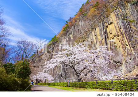 桜と小原の材木岩(宮城県白石市) 桜と小原の材木岩(宮城県白石市) 86408404