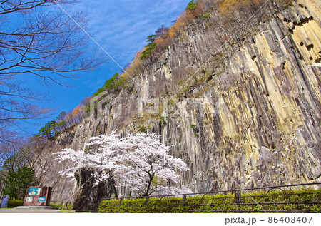 桜と小原の材木岩（宮城県白石市） 86408407
