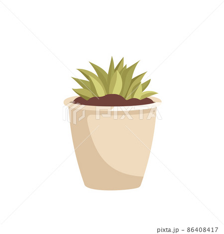 Indoor plant in a pot. Green leaves of succulent. Interior flower. Vector illustration Indoor plant in a pot. Green leaves of succulent. Interior flower. Vector illustration 86408417