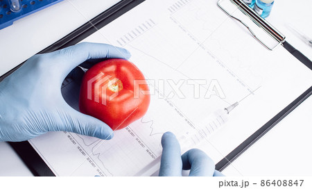 Genetic modification GMO. Scientist injecting liquid from syringe into red tomato. Genetically modified food. 86408847