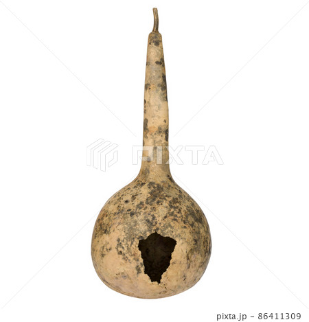 Calabash, Bottle Gourd fruit isolated on white background Calabash, Bottle Gourd fruit isolated on white background 86411309