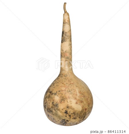 Dilapidated calabash, Bottle Gourd fruit isolated on white background 86411314