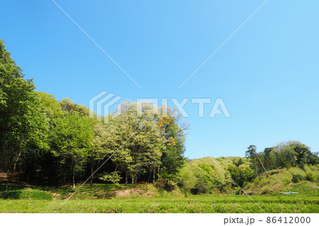 春の役割風景 春の役割風景 86412000