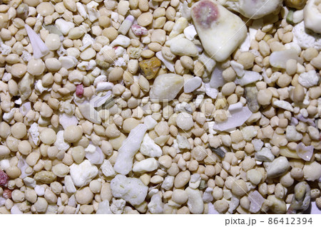 星砂を含む砂　宮古島 86412394