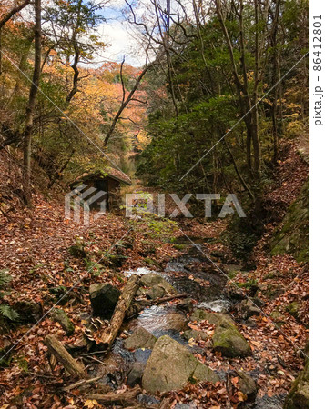 秋の神戸・六甲山ハイキング（トゥエンティ・クロス） 86412801