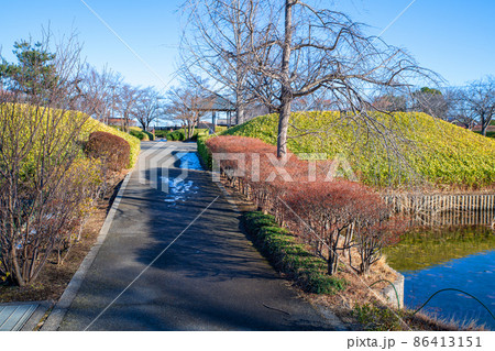 真冬の難波田城公園 水堀 あずまや付近の風景 富士見市 真冬の難波田城公園 水堀 あずまや付近の風景 富士見市 86413151