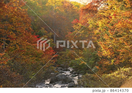 猿倉渓流の紅葉(青森県) 猿倉渓流の紅葉(青森県) 86414370