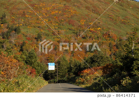 八甲田ゴールドラインの紅葉(青森県) 八甲田ゴールドラインの紅葉(青森県) 86414371