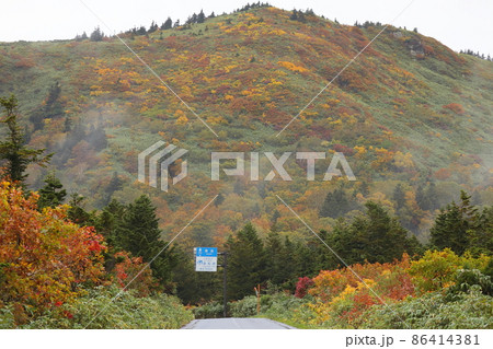 南八甲田笠松峠の紅葉(青森県) 南八甲田笠松峠の紅葉(青森県) 86414381