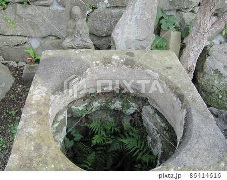 シダが生えた井戸の中【北条政子産湯之井戸】/【北条の里】静岡県伊豆の国市 シダが生えた井戸の中【北条政子産湯之井戸】/【北条の里】静岡県伊豆の国市 86414616