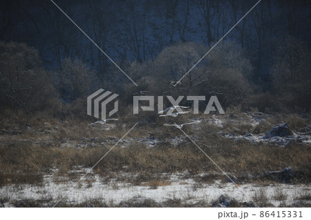 氷 屋外 雪景色 86415331