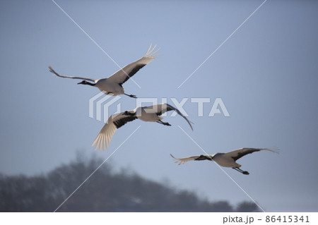 氷 屋外 雪景色 86415341