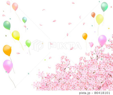 美しく華やかな花びら舞い散る春の桜と風船の飛ぶ白バックフレーム背景素材 86418101