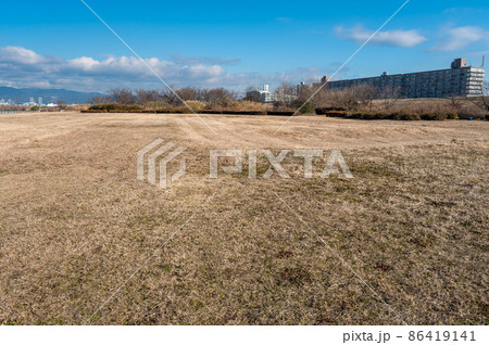 冬枯れの淀川河川公園 冬枯れの淀川河川公園 86419141