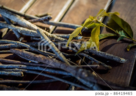 細い木と植物　アウトドア　焚火 86419465