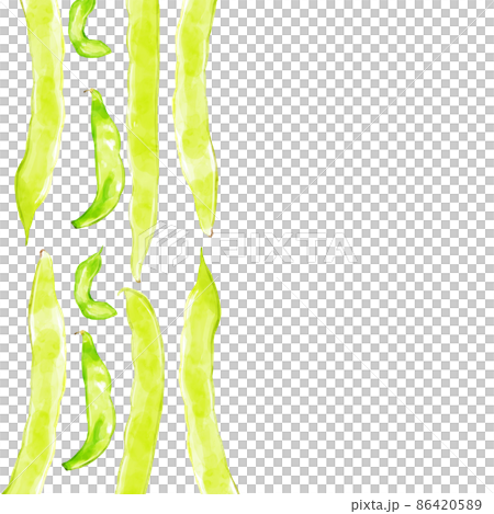 手描き水彩のモロッコインゲンイラスト正方形フレーム・左 手描き水彩のモロッコインゲンイラスト正方形フレーム・左 86420589