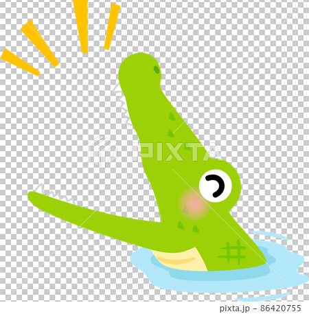 水面から顔を出し口を開けるワニ 86420755