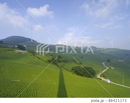 夏 緑 畑 86421173
