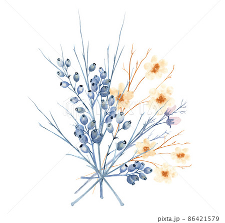 Watercolor twig with blue berries. Winter berry Watercolor twig with blue berries. Winter berry 86421579