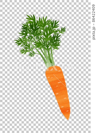 Carrots Carrots 86422409