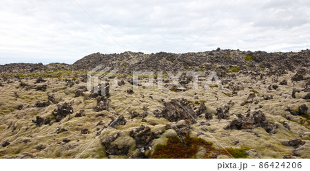 Old lava field covered with green moss Old lava field covered with green moss 86424206