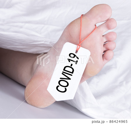 Body with toe tag on white 86424965