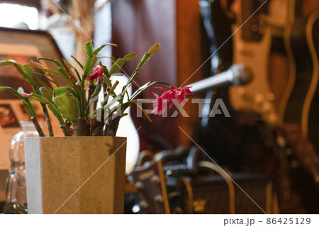 レトロなジャズ喫茶の店内（撮影了承済み） 86425129