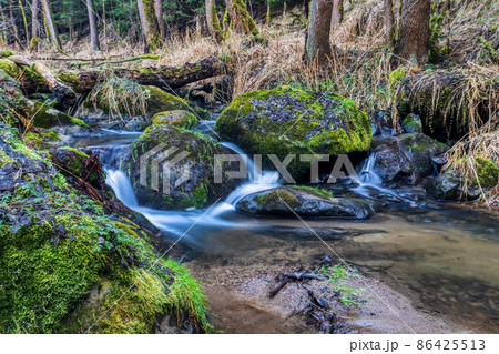 Small forest creek in a woodland Small forest creek in a woodland 86425513