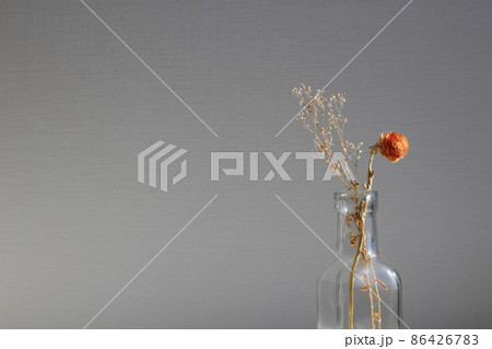 千日紅とかすみ草のドライフラワーが瓶に挿してある様子 千日紅とかすみ草のドライフラワーが瓶に挿してある様子 86426783