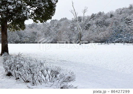 雪の日の公園の風景 86427299