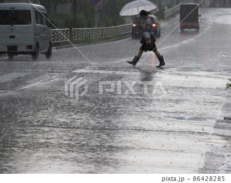 雨の横断歩道 雨の横断歩道 86428285