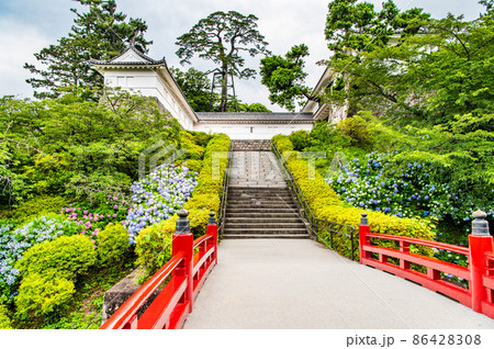 神奈川県 小田原城 ~紫陽花の咲く常盤木門~ 神奈川県 小田原城 ~紫陽花の咲く常盤木門~ 86428308