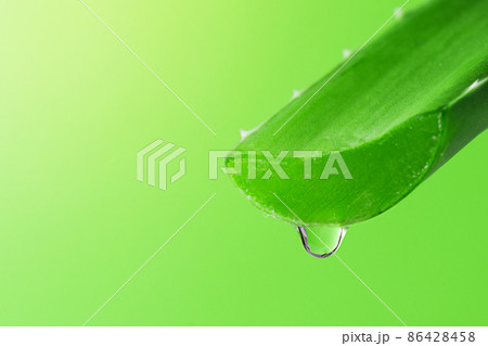 Aloe vera plant slice with aloe gel drop over green background. Aloe vera for natural cosmetics and alternative medicine. 86428458