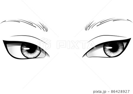 Hand drawn cartoon woman eyes with detailed irises, eyebrows and lashes. Typography vector illustration 86428927