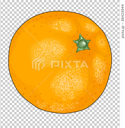 Illustration of tangerine tilted diagonally 86428944