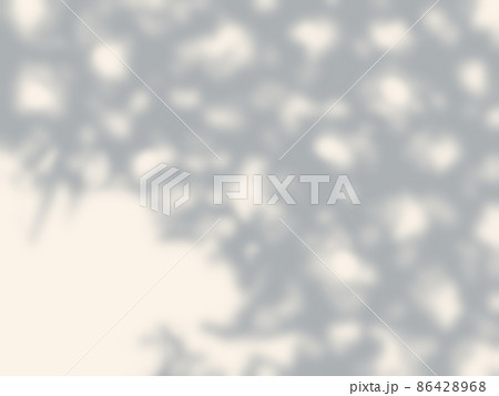 木々の影が映る背景イラスト 木々の影が映る背景イラスト 86428968