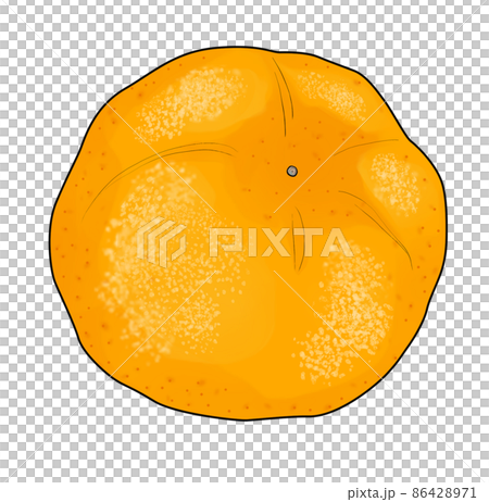 仰向けになったへそ天の蜜柑のイラスト 仰向けになったへそ天の蜜柑のイラスト 86428971