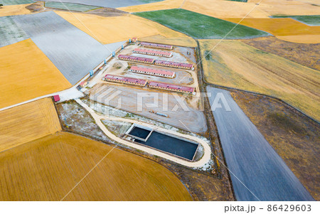 Pig farm in central Spain 86429603