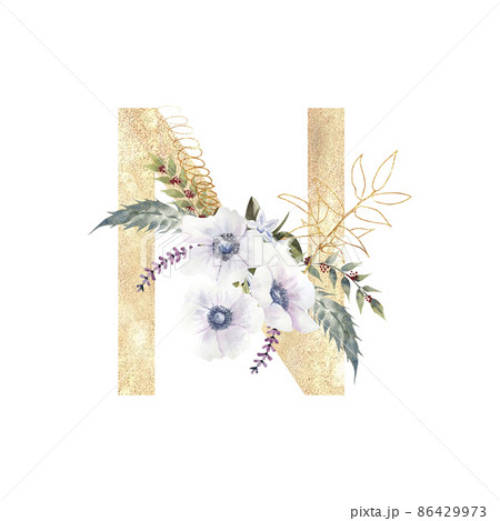 Golden letter N of the English alphabet with a bouquet of purple roses and anemones on a white isolated background. Hand-drawn watercolor illustration Golden letter N of the English alphabet with a bouquet of purple roses and anemones on a white isolated background. Hand-drawn watercolor illustration 86429973