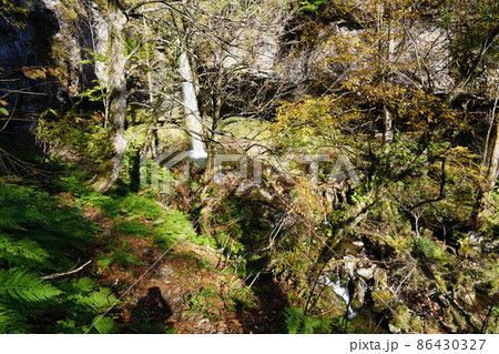 晩秋の大鹿滝2　鳥取県八頭郡若桜町 86430327
